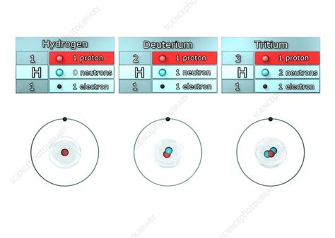 Isotopes Of Hydrogen Illustration Stock Image C0286467 Science