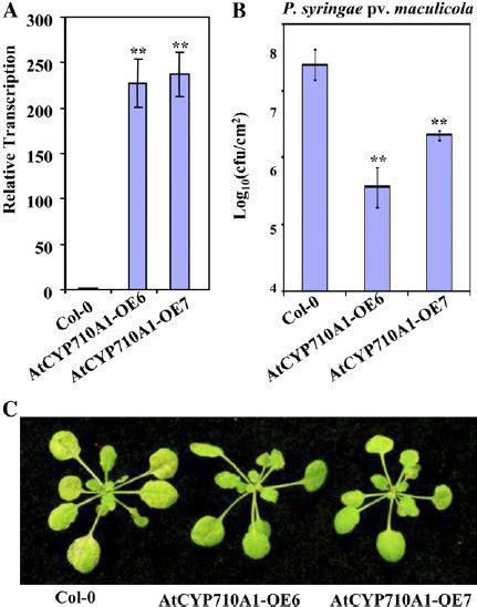 Overexpression Of The Atcyp710a1 Gene In Arabidopsis Confers Disease