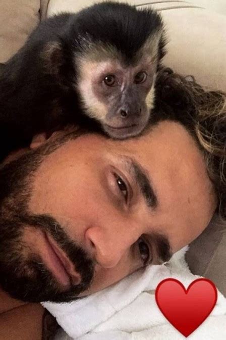 Twelves macaco de Latino morre atropelado cantor está arrasado