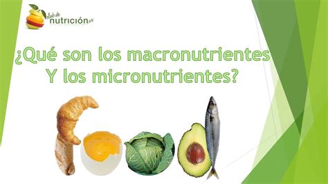 Macronutrientes Y Micronutrientes YouTube