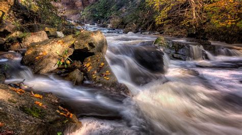 Fotos Gratis Paisaje Naturaleza Bosque Rock Cascada Arroyo