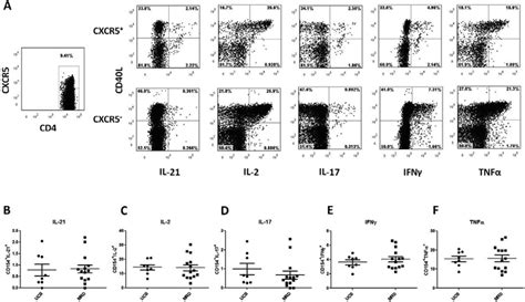 Ptfh Cells From Both Ucb And Mrd Recipients Produce Multiple Cytokines