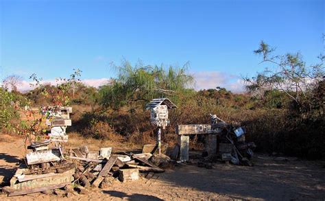 Floreana Island, Galapagos - When to Go, Wildlife, Highlights & More!