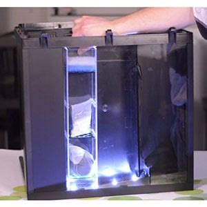 Biocube 32 Manual : Biocube 32 Marine Reef Aquarium Sporting Road ...