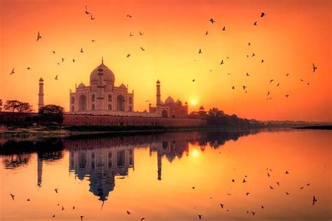 Tripadvisor Taj Mahal Privado Na Excurs O Do Dia Do Nascer Do Sol De