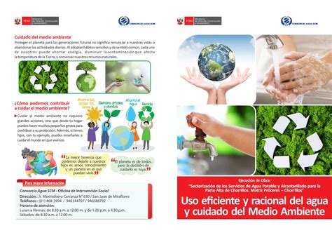 Los Cuidados Del Medio Ambiente