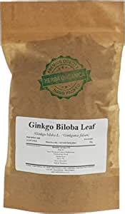 Amazon Herba Organica Hoja De Ginkgo Biloba Ginkgo Biloba L