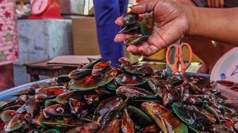 Pagkain Ng Shellfish Sa Anim Na Lugar Sa Bansa Ipinagbawal Ng BFAR