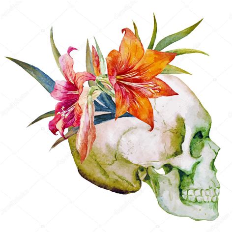 Watercolor Skull With Flowers Stock Vector Image By Zeninaasya