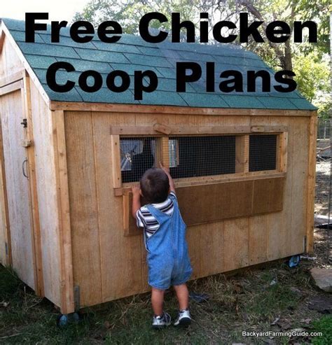 Plans For A Chicken Coop For 12 Chickens - coops chicken