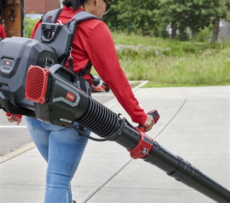 Toros Electric Leaf Blowers Are Popular Right Now — Which Is Best