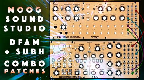 Moog Sound Studio DFAM Subharmonicon 50 Combo Patches Samples