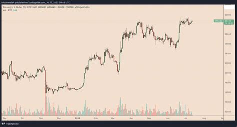 Why Is Bitcoin Price Up Today TradingView News