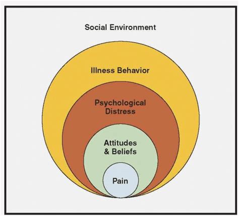 Putting The Biopsychosocial Model Into Practice Musculoskeletal Key