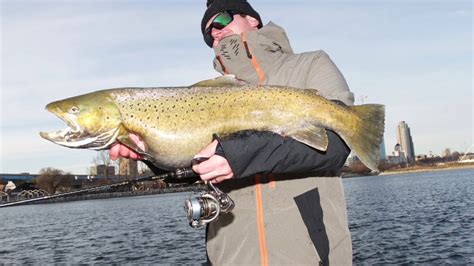 Big Brown Trout Fishing Milwaukee YouTube