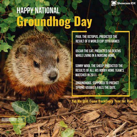 Groundhog Day In 2021 Real Estate Humor Groundhog Day Groundhog