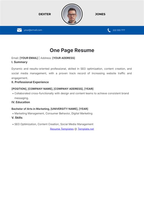 1 Page Resume Format