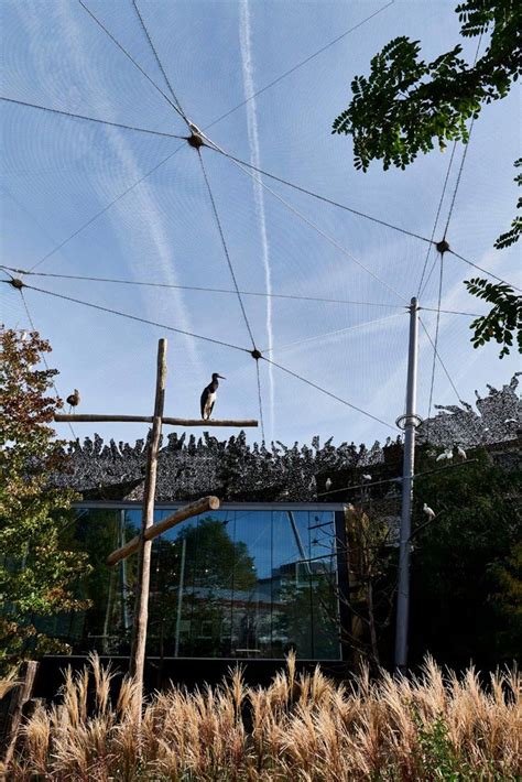 Savannah Aviary, Antwerp Zoo: Jakob Rope Systems