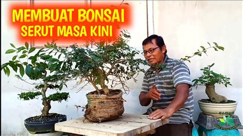 BONSAI SERUT Membuat Bonsai SERUT Masa Kini YouTube