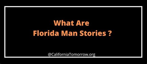 What Are Florida Man Stories