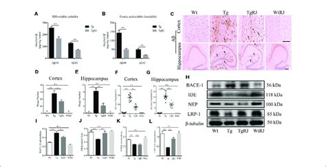 Rj Treatment Reduced The Brain Aβ Burden Of App Ps1 Mice A B The