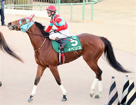 京都牝馬sなど重賞2勝のイベリスが引退 Umatoku 馬トク