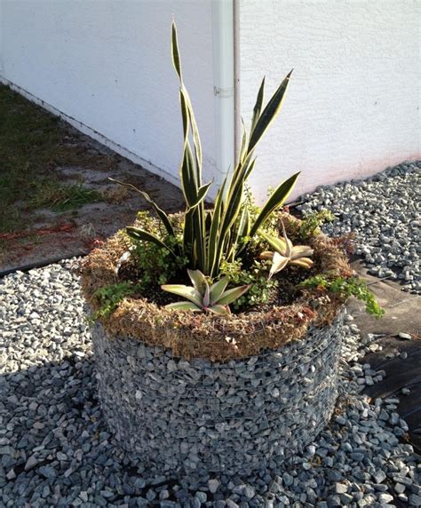 Cr Er Un Massif Jardin Sur Lev Et Rond En Gabion Id Es