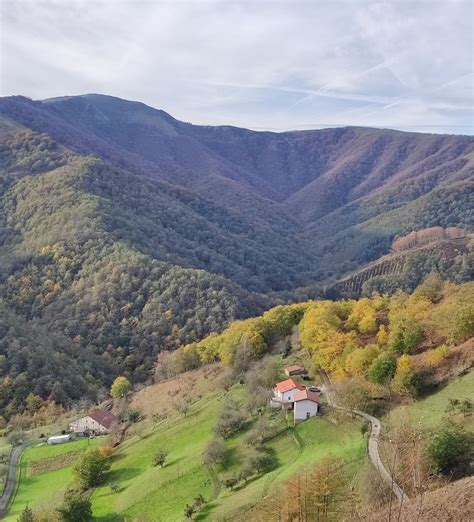 Urumea Zena Eta Dena Aranzadi Zientzia Elkartea