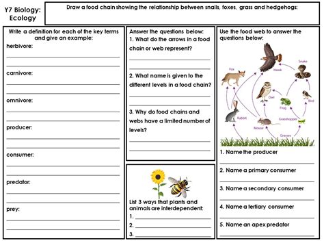 Biology Ecology Revision Mat Teaching Resources