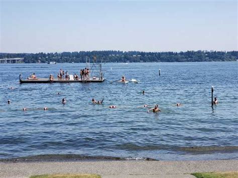 Top 3 Things To Do In Madison Park Beach Seattle