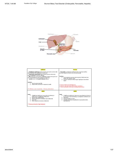 Solution Brunner Biliary Tract Disorder Cholecystitis Pancreatitis