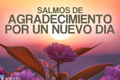 Frases De Agradecimiento A Dios Para Reflexionar Palabras B Blicas