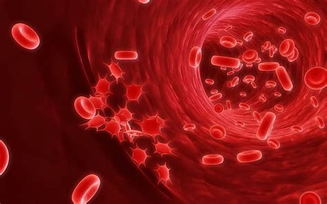 Details 100 blood cells background - Abzlocal.mx