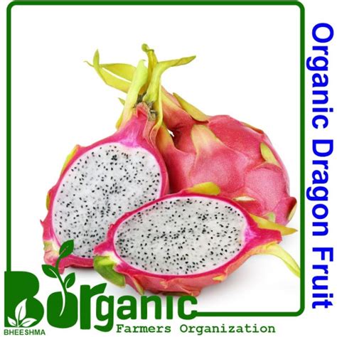 Buy Organic Dragon Fruit Online