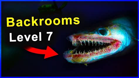 Backrooms level 7 explained... (Thalassophobia⚠️) - YouTube