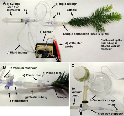 PDF Pneumatic Method To Measure Plant Xylem Embolism Semantic Scholar