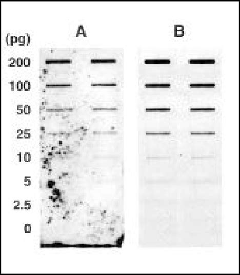 Comparison Of Dig Easy Hyb And Ecl Gold Hybridization Buffers Using Dig