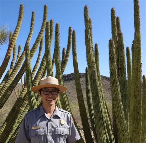 Organ Pipe Cactus National Monument Visit Arizona