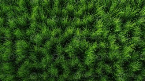 Concept Of Photo Of Green Grass Background Pattern Farming Can Be