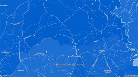 Race, Diversity, and Ethnicity in Dacusville, SC | BestNeighborhood.org