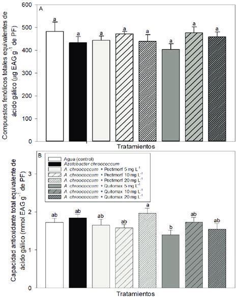 Contenido Antioxidante A Compuestos Fen Licos Totales G Eag G De