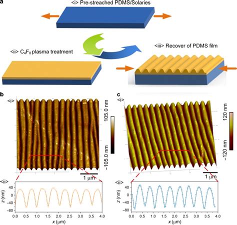 Controlled Fabrication Of Nanoscale Wrinkle Structure By Fluorocarbon