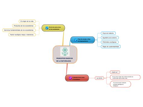 PRINCIPIOS BASICOS DE LA NATURALEZA 思維導圖