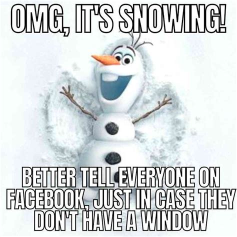 Snow Meme