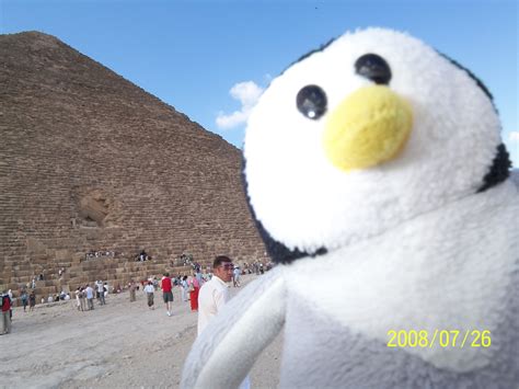 Album Pictures Pigloos Mission Impossible