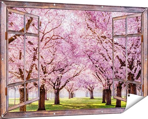 Gards Affiche De Jardin Transparente Parc D Arbres En Fleurs Roses