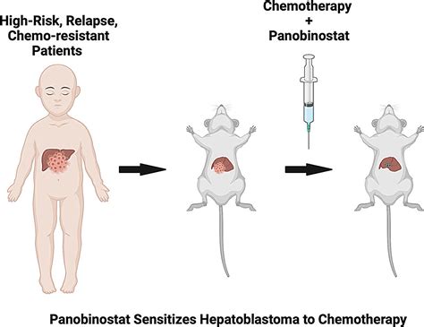 Novel Combination Therapy Offers Promising Results For Treatment