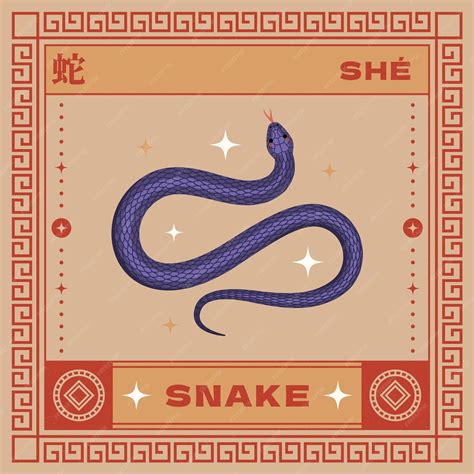 Chinese Snake Illustration