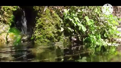 River Water Sounds Lapping Water Trickling Slowly Sound Effects