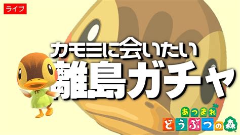 【あつ森】カモミに会いたい離島ガチャ50連 【あつまれどうぶつの森】住民厳選離島ツアー Youtube